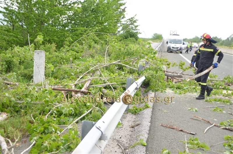 Τραγωδία στην Εγνατία: Δέντρο καταπλάκωσε και σκότωσε επιβάτη ΙΧ [εικόνες & βίντεο] | iefimerida.gr 0
