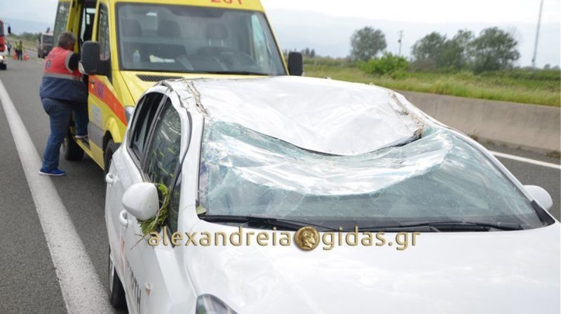 Τραγωδία στην Εγνατία: Δέντρο καταπλάκωσε και σκότωσε επιβάτη ΙΧ [εικόνες & βίντεο] | iefimerida.gr 1