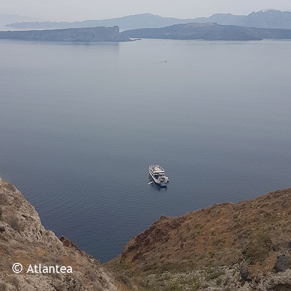 Νεκρή φάλαινα 7 τόνων στη θάλασσα της Σαντορίνης -Την έβγαλαν με γερανό [εικόνες] | iefimerida.gr 2