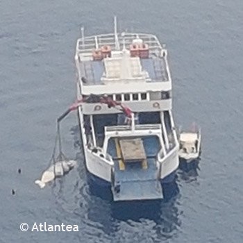 Νεκρή φάλαινα 7 τόνων στη θάλασσα της Σαντορίνης -Την έβγαλαν με γερανό [εικόνες] | iefimerida.gr 1