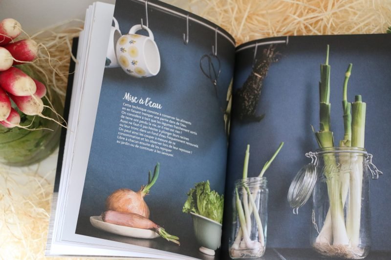 Εζησε έναν χρόνο χωρίς ψυγείο -Δείτε τη διασκεδαστική περιπέτεια μιας δημοσιογράφου [εικόνες] | iefimerida.gr 3