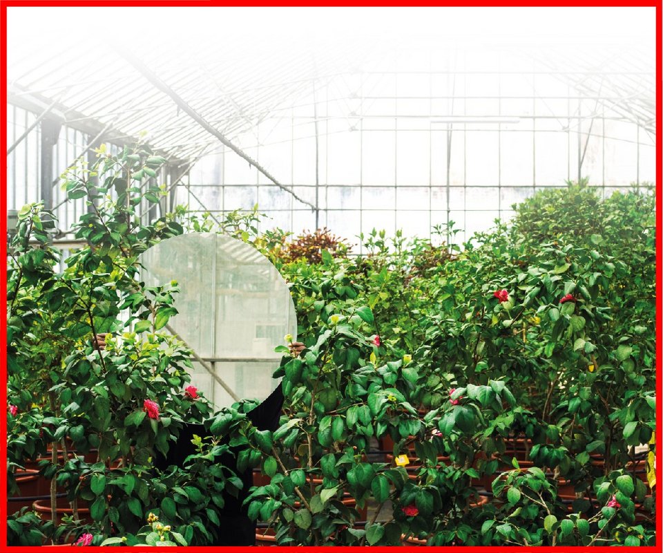 Η Στέγη έστησε έργα τέχνης και ένα «δεντρόσπιτο» για προβολές στο Γεωπονικό Πανεπιστήμιο [πρόγραμμα] | iefimerida.gr 0