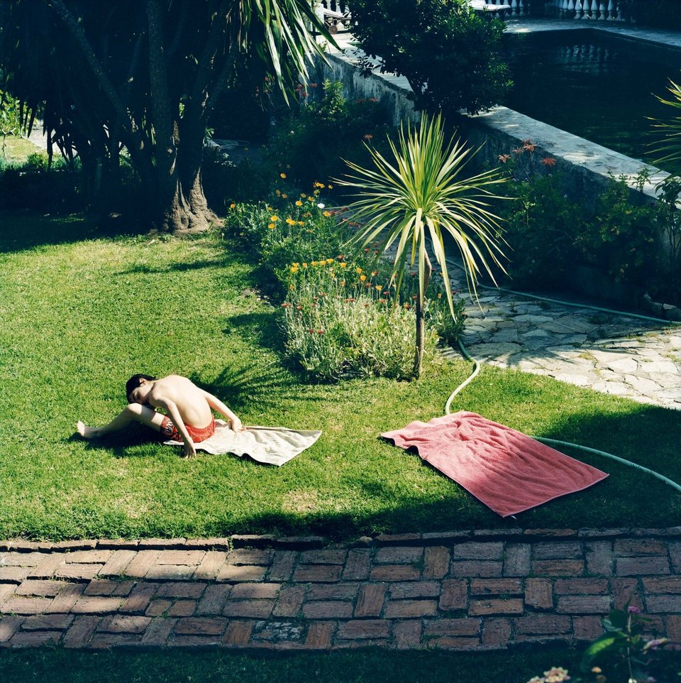 Η Στέγη έστησε έργα τέχνης και ένα «δεντρόσπιτο» για προβολές στο Γεωπονικό Πανεπιστήμιο [πρόγραμμα] | iefimerida.gr 1