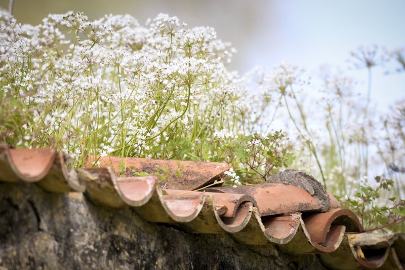 Λίμνη Καϊάφα: Δημιουργήθηκε τον 6ο αιώνα π.Χ. μετά από σεισμό, εγκαταλείφθηκε, αλλά παραμένει πανέμορφη [εικόνες] | iefimerida.gr 8