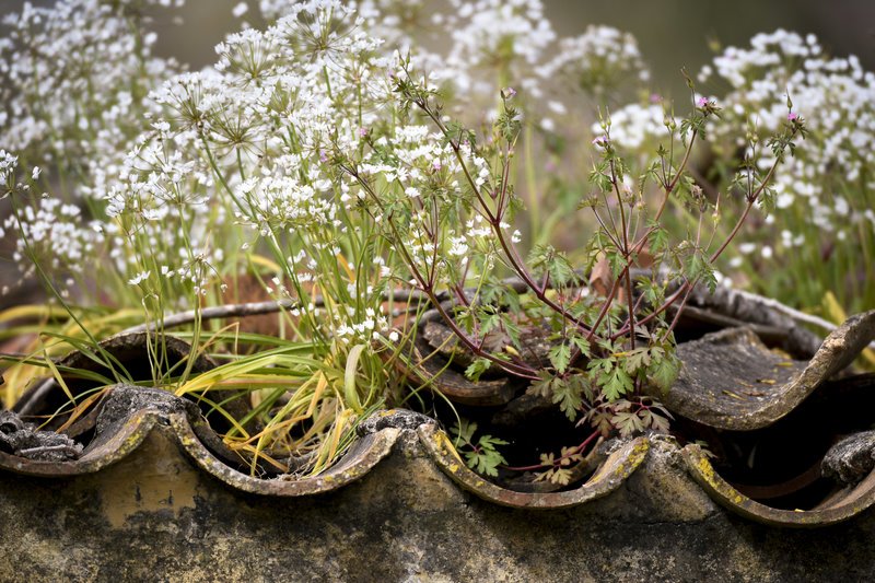 Λίμνη Καϊάφα: Δημιουργήθηκε τον 6ο αιώνα π.Χ. μετά από σεισμό, εγκαταλείφθηκε, αλλά παραμένει πανέμορφη [εικόνες] | iefimerida.gr 7