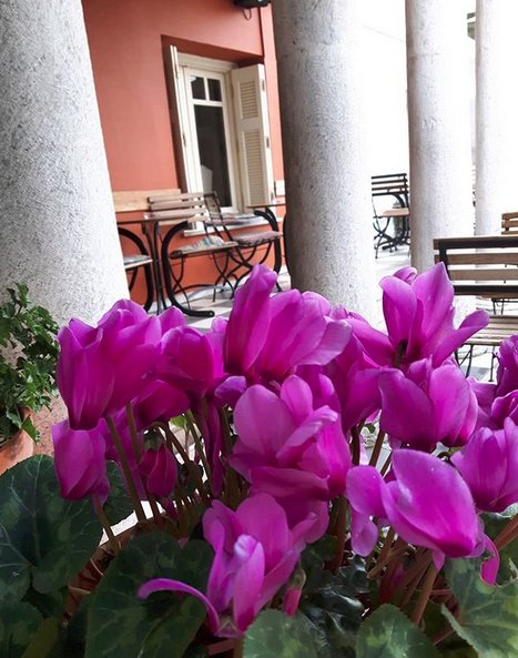 Μέντα: Το αρχοντικό του Αγγελου Σικελιανού στην Κηφισιά, με τον πνιγμένο στα λουλούδια κήπο, έγινε χουχουλιάρικο καφέ! [εικόνες] | iefimerida.gr 5