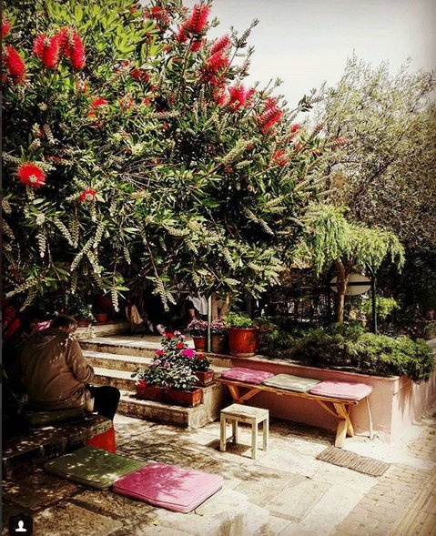 Μέντα: Το αρχοντικό του Αγγελου Σικελιανού στην Κηφισιά, με τον πνιγμένο στα λουλούδια κήπο, έγινε χουχουλιάρικο καφέ! [εικόνες] | iefimerida.gr 7