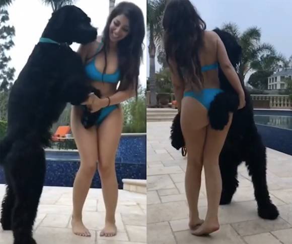 Δισεκατομμυριούχος κατηγορεί μοντέλο ότι διέγειρε σεξουαλικά τον σκύλο του [εικόνες] | iefimerida.gr 0