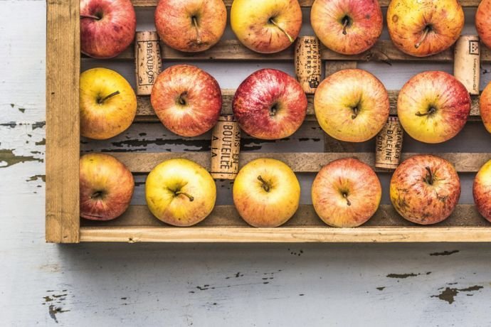 Εζησε έναν χρόνο χωρίς ψυγείο -Δείτε τη διασκεδαστική περιπέτεια μιας δημοσιογράφου [εικόνες] | iefimerida.gr 10