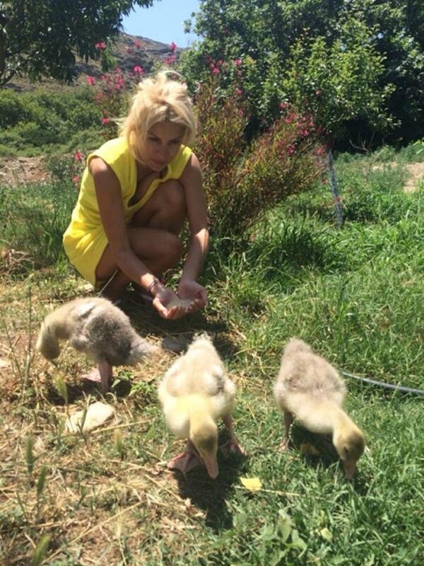 Αχλα, ο παράδεισος της Ελένης Μενεγάκη -Το σπίτι της παρουσιάστριας [εικόνες] | iefimerida.gr 10