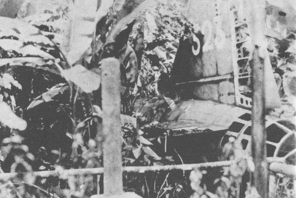Τα συντρίμμια του αεροσκάφους που μετέφερε τον Γιαμαμότο στη ζούγκλα του Bougainville (Φωτογραφία: Wikipedia)