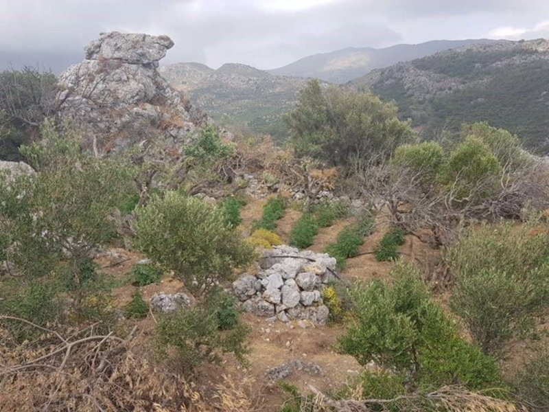 Ιεράπετρα: Αγρότες... κάνναβης - Είχαν μέχρι και αρδευτικό σύστημα | iefimerida.gr 0