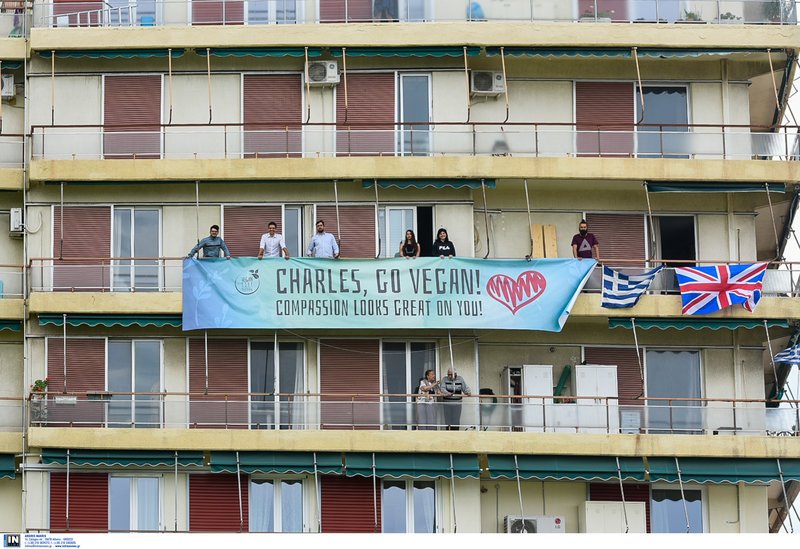 Ομάδα vegan κρέμασε πανό για τον πρίγκιπα Κάρολο -Γίνε vegan, σου πάει [εικόνες] | iefimerida.gr 0