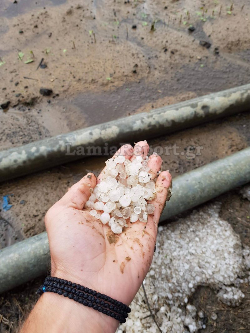 Χαλάζι και μεγάλες ζημιές στην περιοχή του Δομοκού [εικόνες & βίντεο] | iefimerida.gr 1