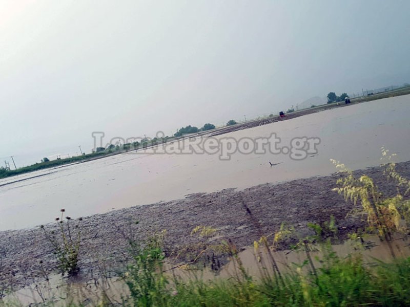 Χαλάζι και μεγάλες ζημιές στην περιοχή του Δομοκού [εικόνες & βίντεο] | iefimerida.gr 3