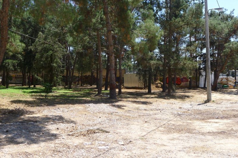 ΑΕΚ για δήμο Νέας Φιλαδέλφειας: Κάνει νέες παρανομίες στο άλσος, να επέμβει ο Εισαγγελέας [εικόνες] | iefimerida.gr 0