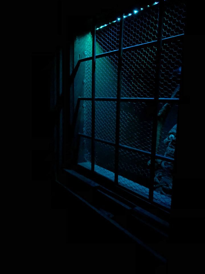 Τα Escape Rooms που ξετρέλαναν τους Αθηναίους -Ιδρώνεις, φοβάσαι, σου κόβεται το αίμα [εικόνες] | iefimerida.gr 9