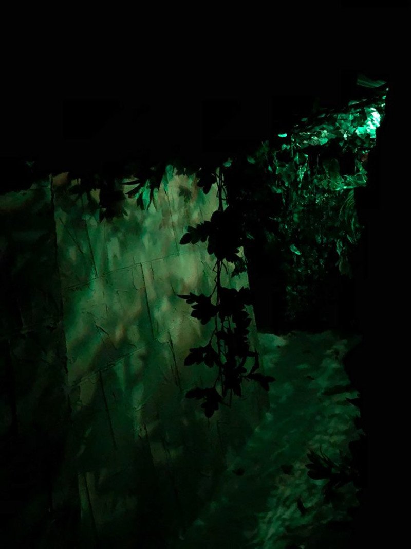 Τα Escape Rooms που ξετρέλαναν τους Αθηναίους -Ιδρώνεις, φοβάσαι, σου κόβεται το αίμα [εικόνες] | iefimerida.gr 1