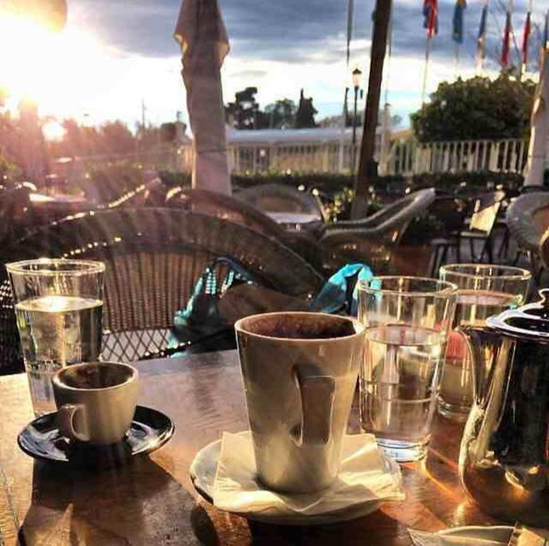 Πρωτομαγιά στην Αθήνα: 7 μαγαζιά με ανθισμένους κήπους και μυστικές αυλές για καφέ [εικόνες] | iefimerida.gr 17