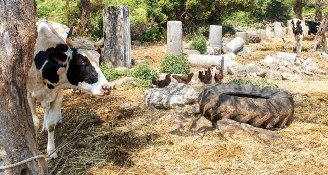 Απίστευτο: Πωλείται ολόκληρη η αρχαία ελληνική πόλη Βαργυλία, στην Τουρκία [εικόνες] | iefimerida.gr 2