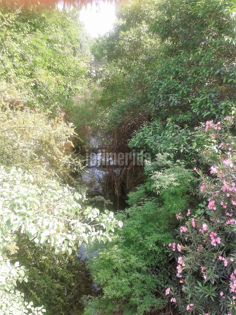 Ανοιξιάτικο ρέμα στη Φιλοθέη