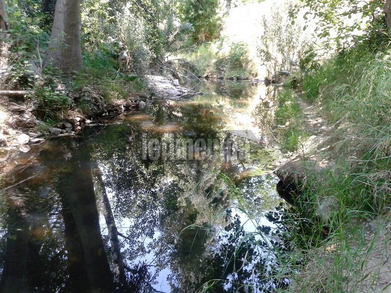 Απίστευτο τοπίο δίπλα στη Λεωφόρο Κηφισίας