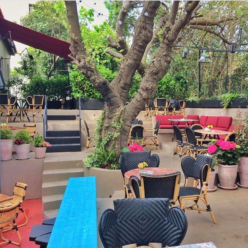 Πρωτομαγιά στην Αθήνα: 7 μαγαζιά με ανθισμένους κήπους και μυστικές αυλές για καφέ [εικόνες] | iefimerida.gr 5