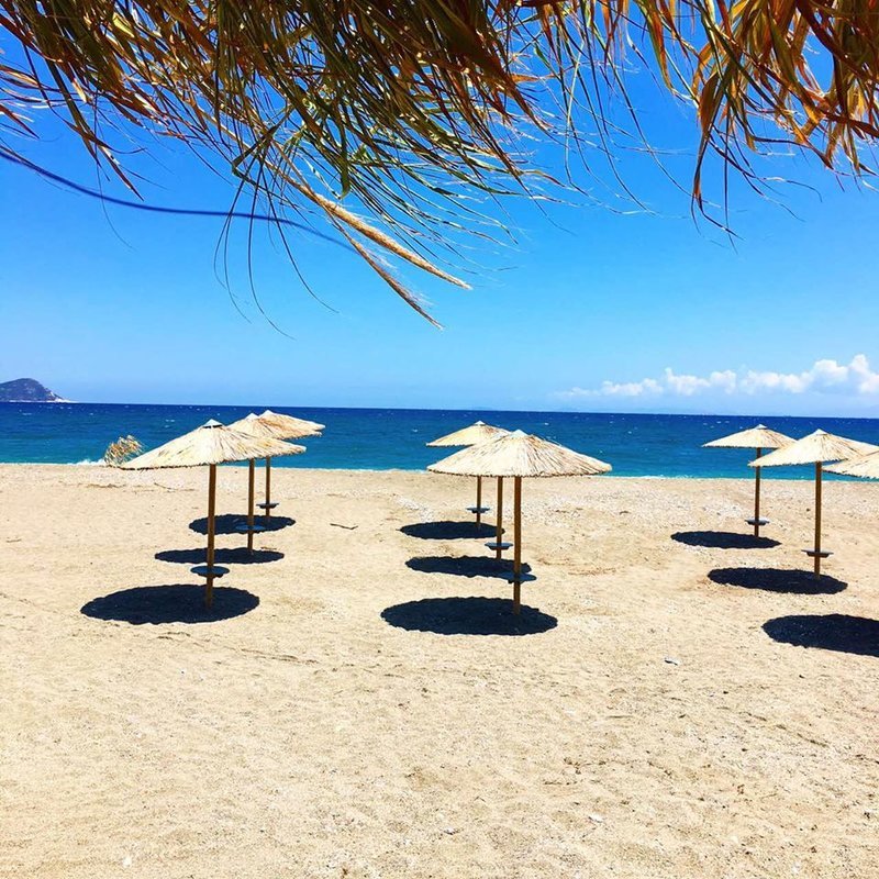 Ηθοποιός άνοιξε beach bar στην Κύμη και το ονόμασε... «4 χοντρές» [εικόνες] | iefimerida.gr 3