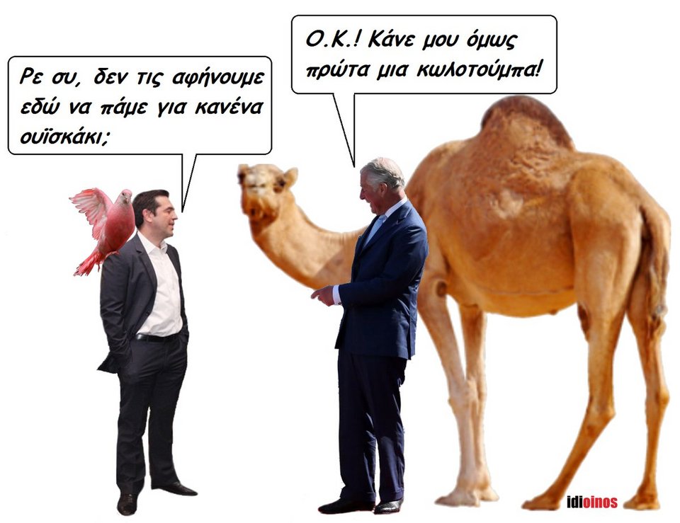 Το Twitter διασκέδασε με την επίσκεψη Καρόλου -Τα αστεία για την Περιστέρα-Pigeon [εικόνες] | iefimerida.gr 11