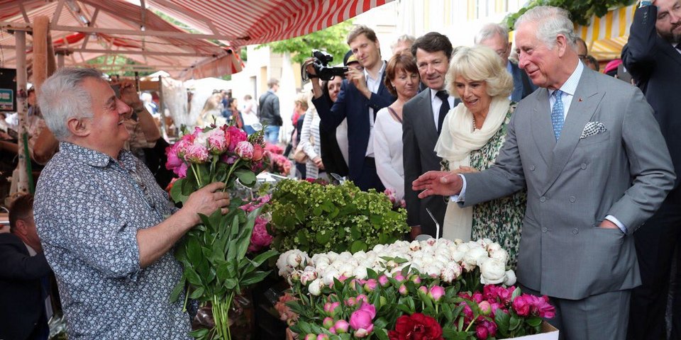 Το Twitter διασκέδασε με την επίσκεψη Καρόλου -Τα αστεία για την Περιστέρα-Pigeon [εικόνες] | iefimerida.gr 21