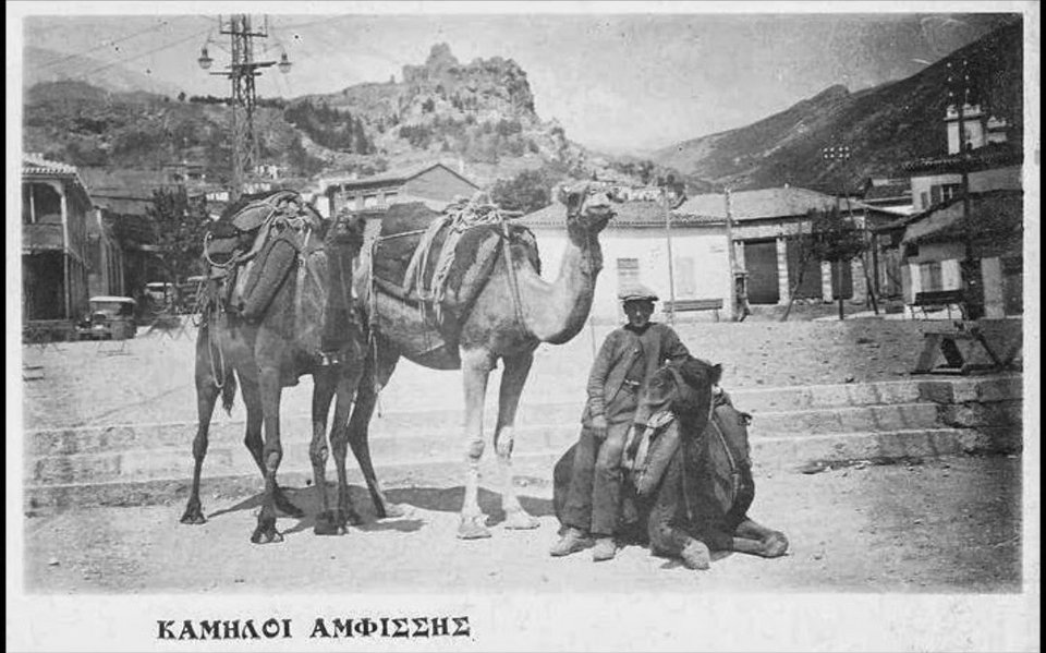 Το Twitter διασκέδασε με την επίσκεψη Καρόλου -Τα αστεία για την Περιστέρα-Pigeon [εικόνες] | iefimerida.gr 23