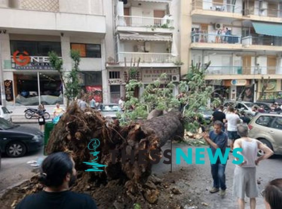 Επεσε δέντρο-τέρας σε κεντρικό δρόμο στη Θεσσαλονίκη -Πάνω σε 2 οχήματα [εικόνες] | iefimerida.gr 0