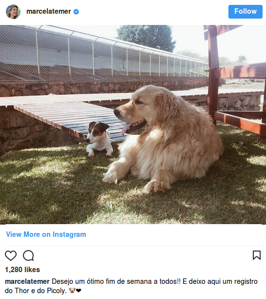 Η Πρώτη Κυρία της Βραζιλίας έπεσε με τα ρούχα στην πισίνα για να σώσει τον σκύλο της [εικόνα] | iefimerida.gr 0