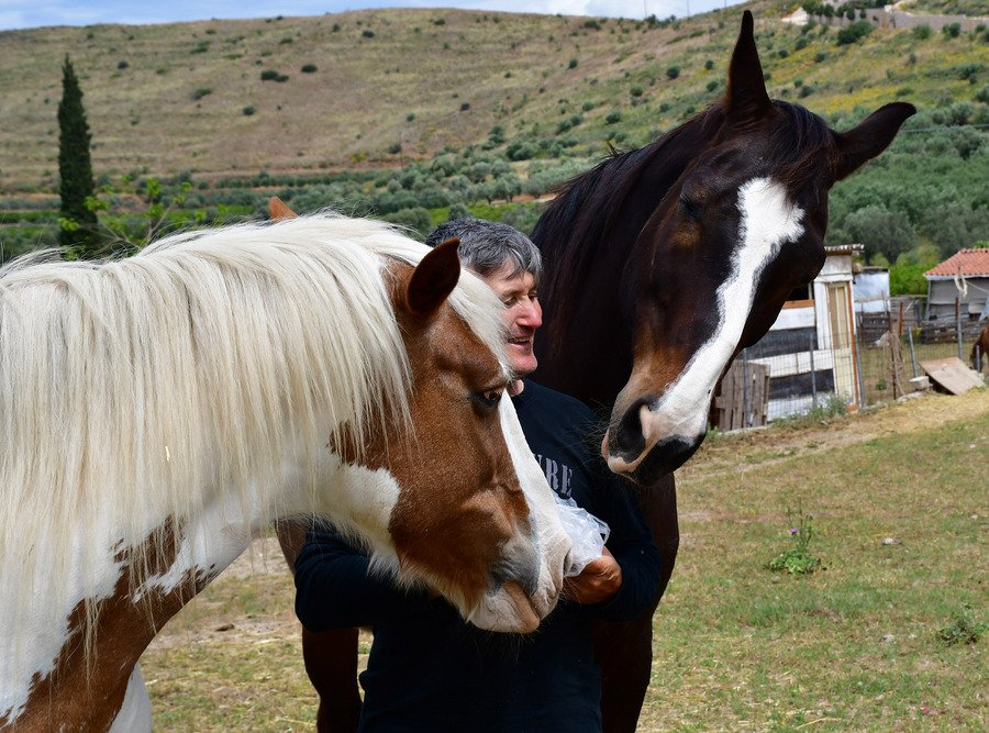 Ο γητευτής των αλόγων από το Ναύπλιο -Τα υιοθετεί και φιλοξενεί στη φάρμα του [εικόνες] | iefimerida.gr 4