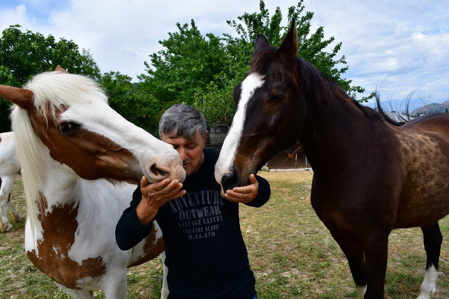 Ο γητευτής των αλόγων από το Ναύπλιο -Τα υιοθετεί και φιλοξενεί στη φάρμα του [εικόνες] | iefimerida.gr 3