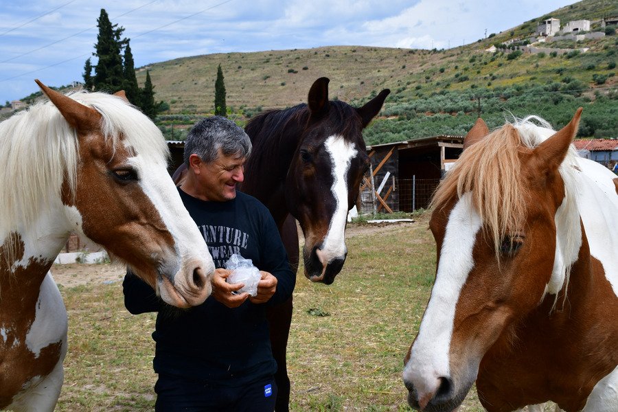Ο γητευτής των αλόγων από το Ναύπλιο -Τα υιοθετεί και φιλοξενεί στη φάρμα του [εικόνες] | iefimerida.gr 2