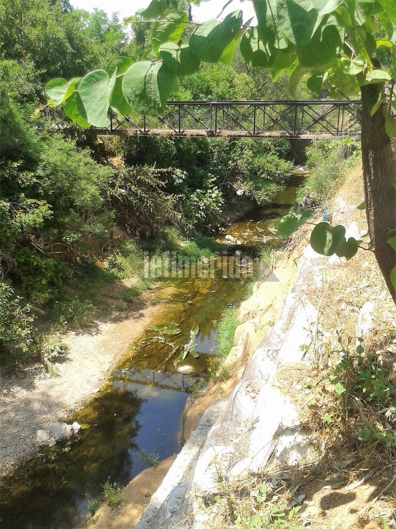 Γεφυράκι στη Φιλοθέη