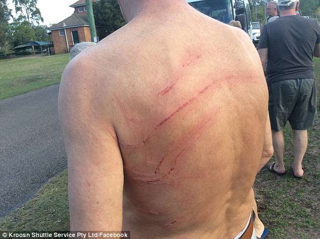 Καγκουρό επιτίθενται με κλωτσιές σε τουρίστες στην Αυστραλία [εικόνες] | iefimerida.gr 4