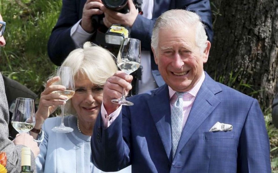 Το Twitter διασκέδασε με την επίσκεψη Καρόλου -Τα αστεία για την Περιστέρα-Pigeon [εικόνες] | iefimerida.gr 27