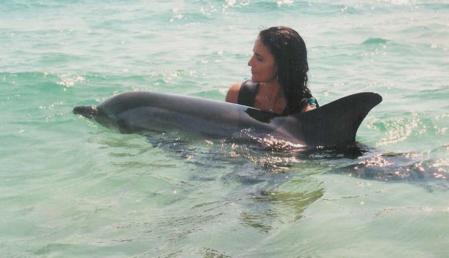 Dr. Αναστασία Κομνηνού: Η χειρουργός που σώζει εξωτικά και άγρια ζώα [εικόνες]  | iefimerida.gr 1