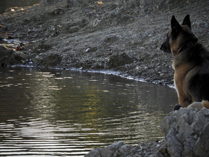 Λίμνη Μπελέτσι: Παραμυθένια θέα στις ανατολικές πλαγιές της Πάρνηθας [εικόνες] | iefimerida.gr 9