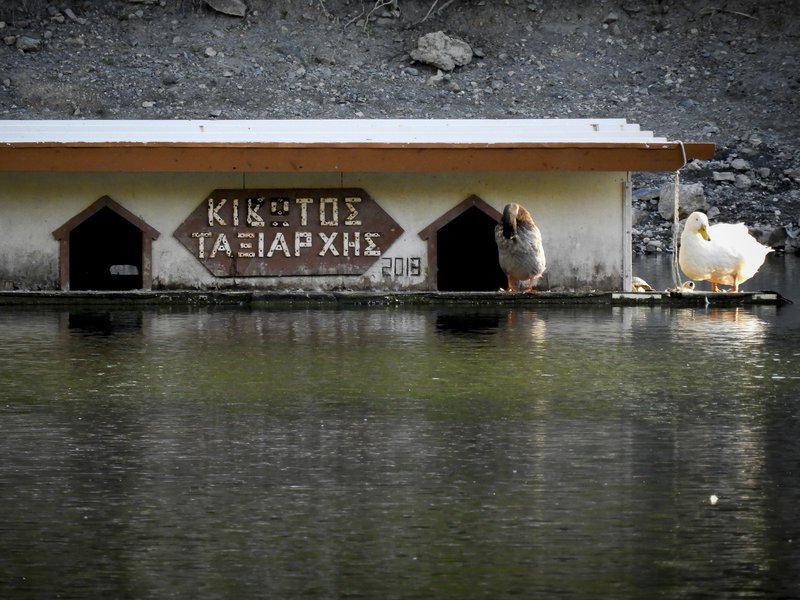 Λίμνη Μπελέτσι: Παραμυθένια θέα στις ανατολικές πλαγιές της Πάρνηθας [εικόνες] | iefimerida.gr 6