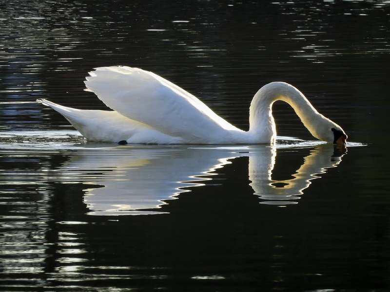 Λίμνη Μπελέτσι: Παραμυθένια θέα στις ανατολικές πλαγιές της Πάρνηθας [εικόνες] | iefimerida.gr 5