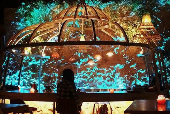 Nikkei: Το περουβιανό στο Κολωνάκι που βραβεύτηκε ως το καλύτερο bar-restaurant στην Ελλάδα [εικόνες] | iefimerida.gr 0