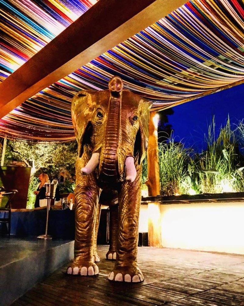 Nikkei: Το περουβιανό στο Κολωνάκι που βραβεύτηκε ως το καλύτερο bar-restaurant στην Ελλάδα [εικόνες] | iefimerida.gr 4