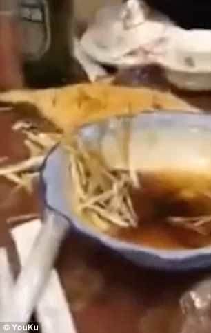 Ψάρι-ζόμπι: Ζωντάνεψε την ώρα που σερβιρίστηκε και πετάχτηκε από το πιάτο [βίντεο] | iefimerida.gr 1