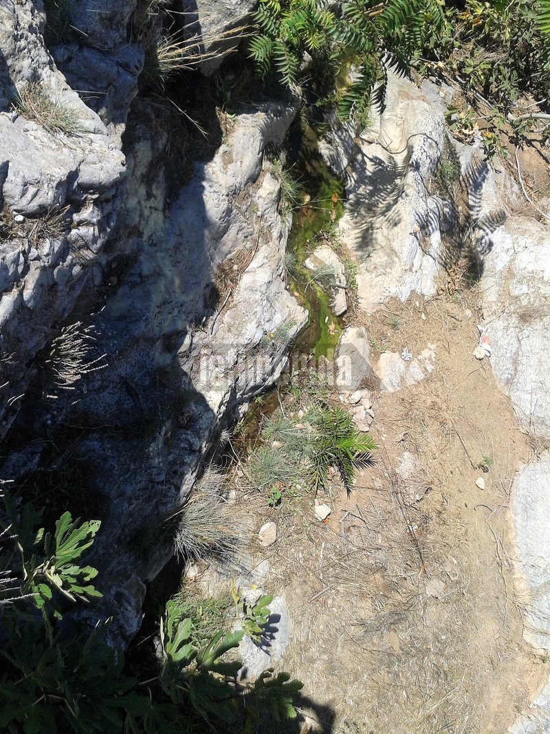 Πηγή Καλλιρόη -Κοίτη Ιλισού