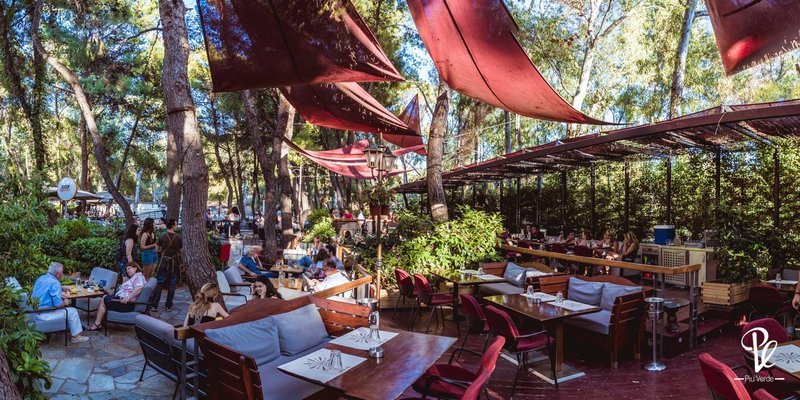 Πρωτομαγιά στην Αθήνα: 7 μαγαζιά με ανθισμένους κήπους και μυστικές αυλές για καφέ [εικόνες] | iefimerida.gr 1