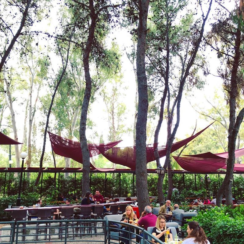 Πρωτομαγιά στην Αθήνα: 7 μαγαζιά με ανθισμένους κήπους και μυστικές αυλές για καφέ [εικόνες] | iefimerida.gr 2