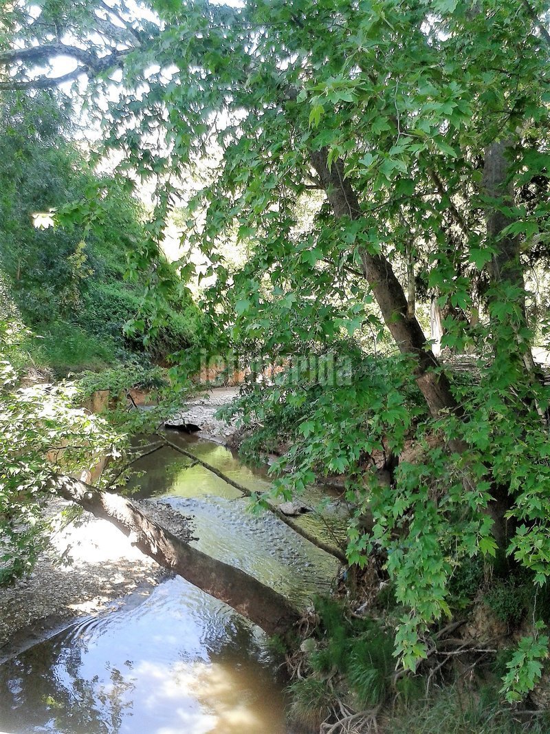 Ποταμός Κηφισός